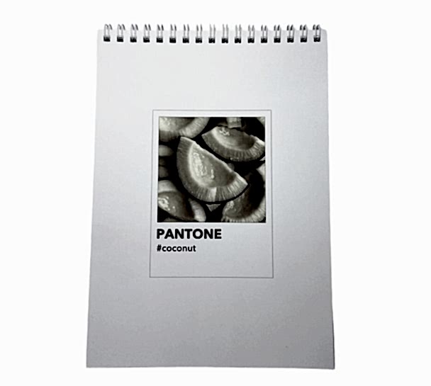 Блокнот А5, софт тач ламинация, Дизайнерская коллекция "Pantone", белый