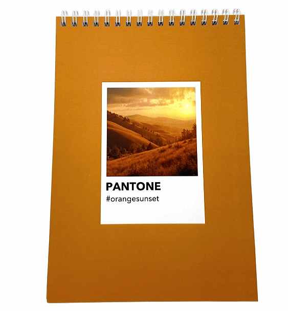 Блокнот А5, софт тач ламинация, Дизайнерская коллекция "Pantone", оранжевый