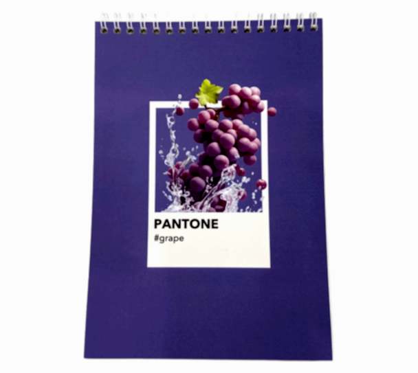 Блокнот А5, софт тач ламинация, Дизайнерская коллекция "Pantone", фиолетовый